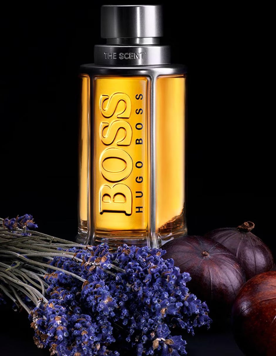 The Scent Eau de Toilette 100ml